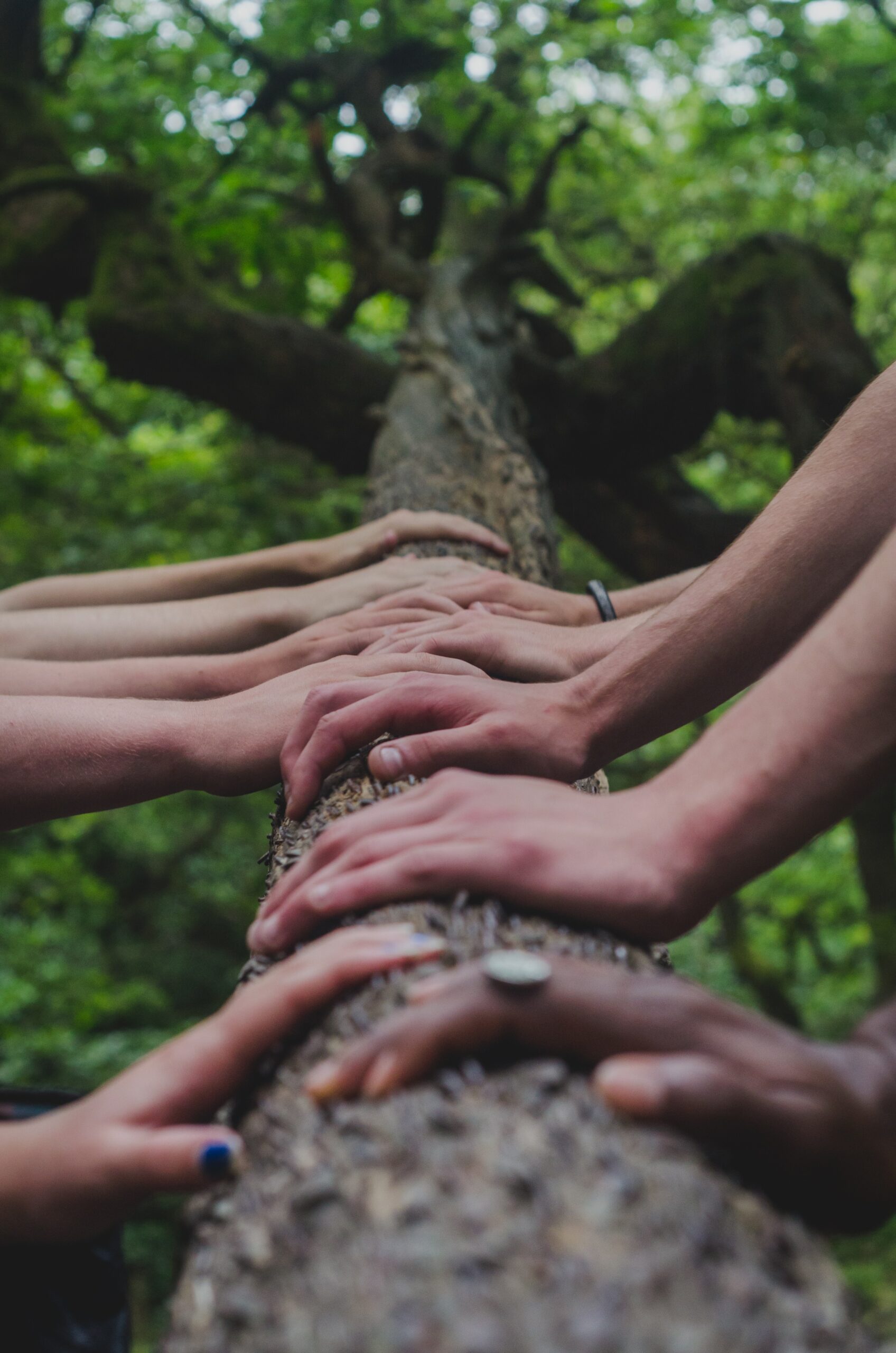La tendance Ã  un Ã©vÃ©nementiel dâ€™entreprise plus responsable se confirme !