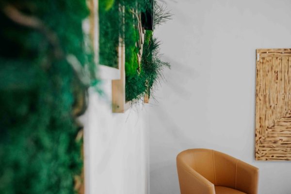 La-sSÌŒve-greenworking-ecologie-de-soi-bureaux