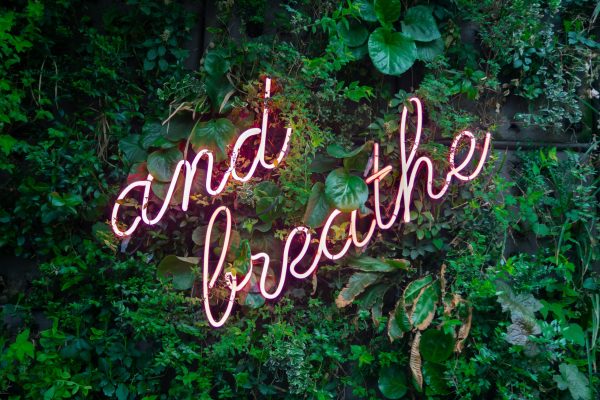 La seÌ€ve greenworking qvt conseils (1)
