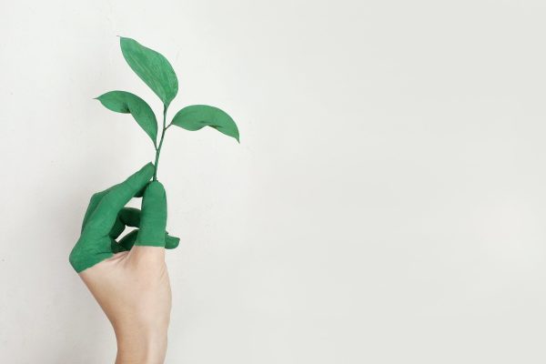 la seve greenworking Ã©vÃ©nements Ã©cologie toulouse